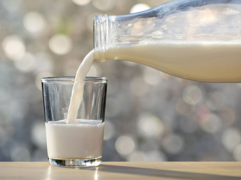 חלב עיזים מול חלב פרה: מה יותר בריא?