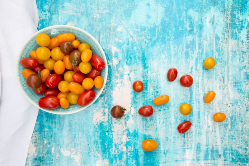 manfaat tomat merah vs kuning untuk kesehatan