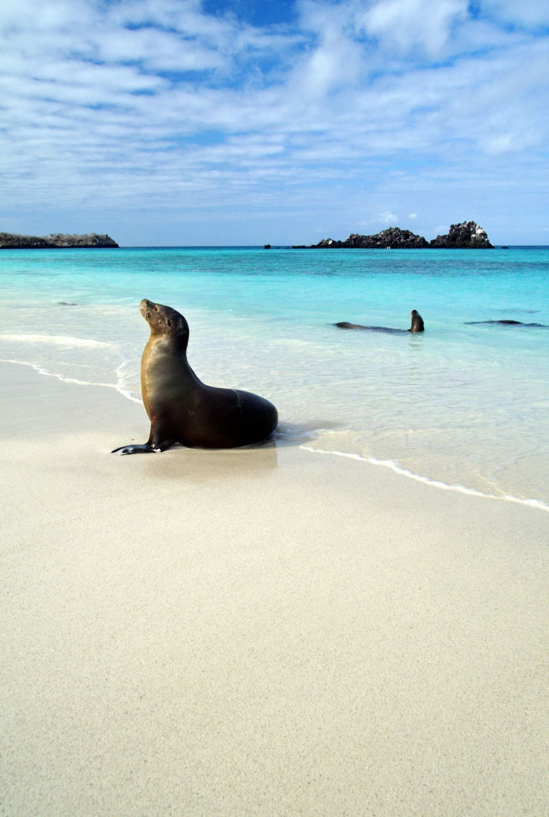أفضل الأماكن للمسافرين الفرديين - جزر غالاباغوس