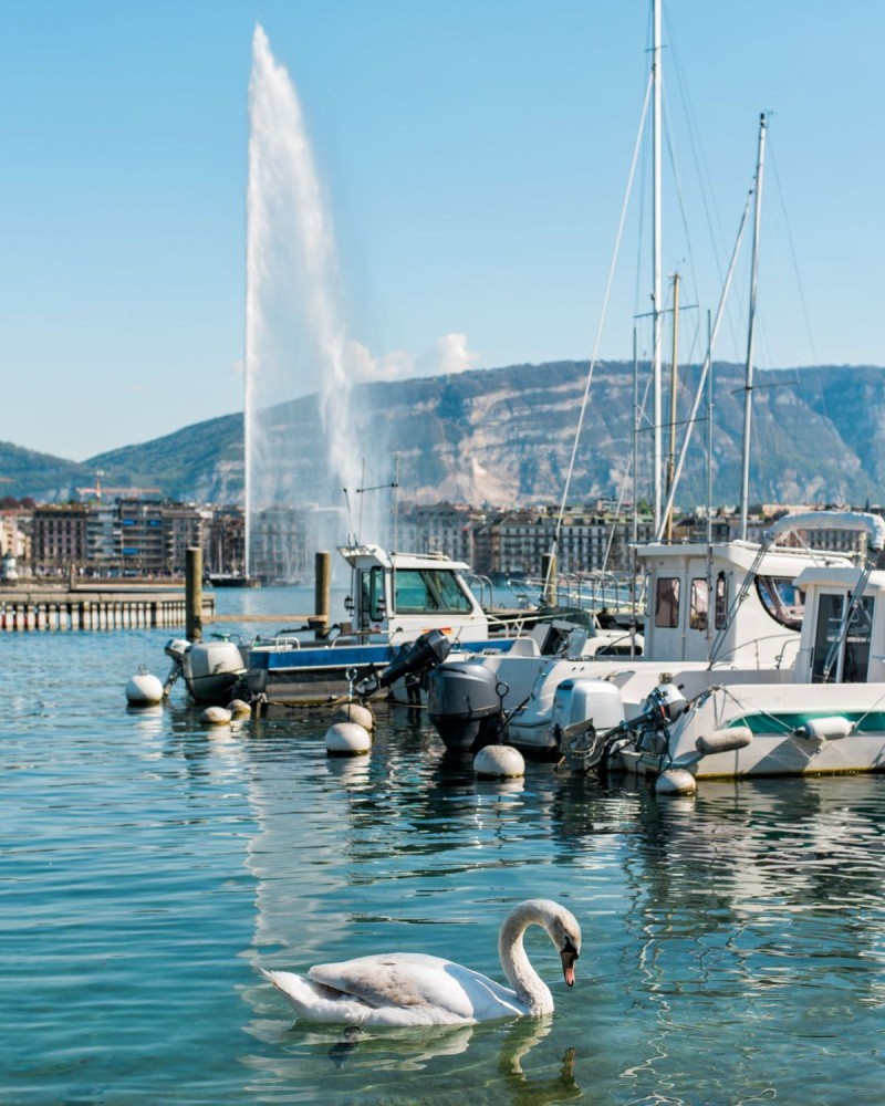 أفضل الأماكن للمسافرين الفرديين - جنيف