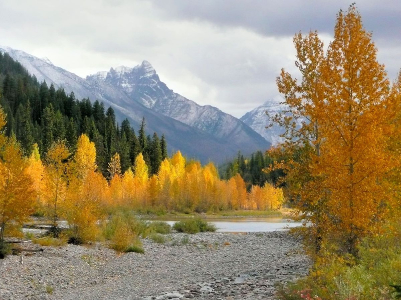 ألوان الخريف بالقرب من حديقة النهر الجليدي