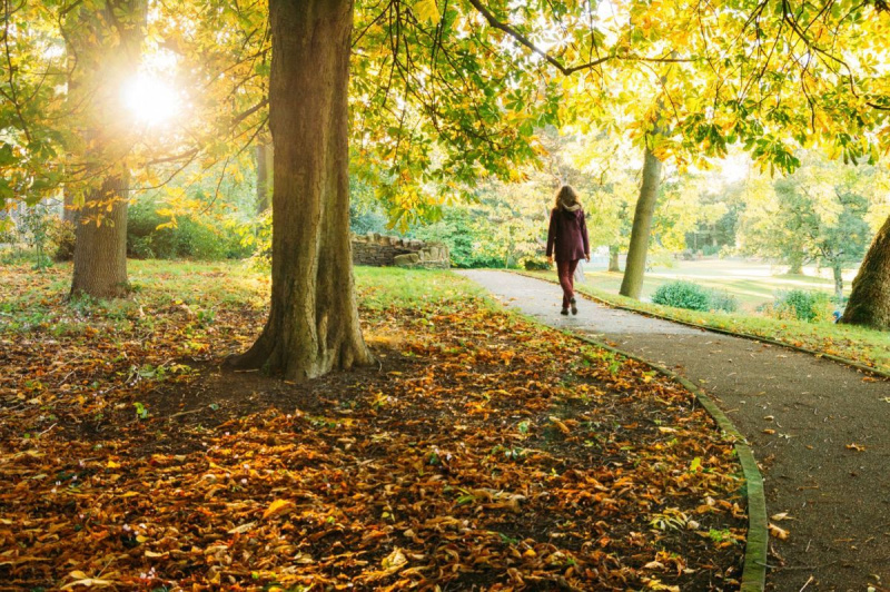 秋の間に公園を歩く女性