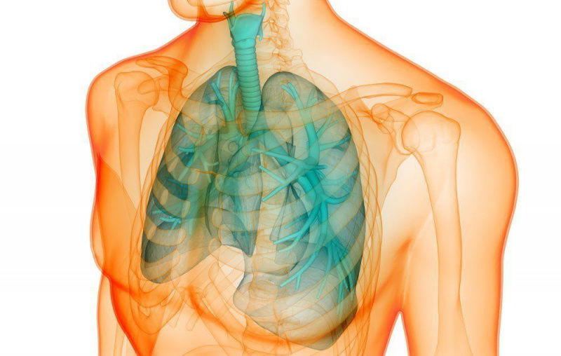 8 признака, че белите дробове може да се провалят